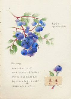 《一花一世界》LRC歌词 《一花一世界》(奇然)歌词555uuu下载