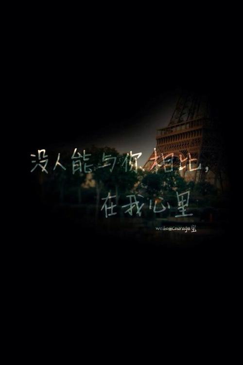 《你在我心里无人能够代替》LRC歌词 《你在我心里无人能够代替》(暴林)歌词555uuu下载