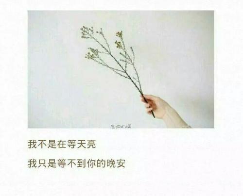 《等你在梦的边缘》(张晓明)歌词555uuu下载