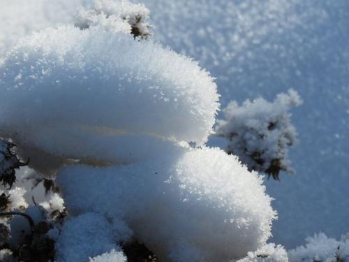 《好大的雪》LRC歌词 《好大的雪》(李封序)歌词555uuu下载