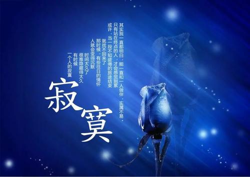 《你的寂寞向谁说》LRC歌词 《你的寂寞向谁说》(花树)歌词555uuu下载