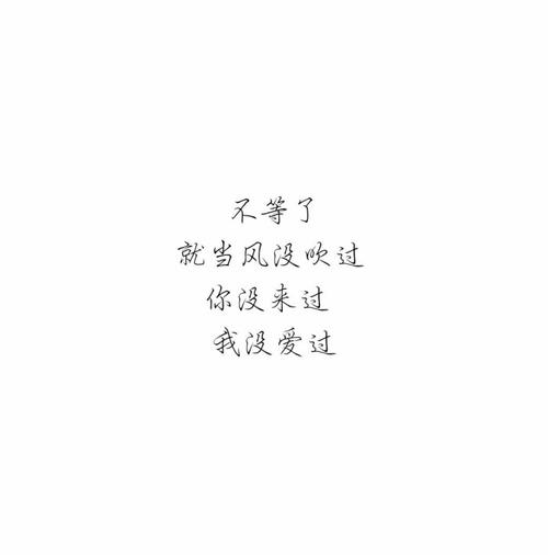 《你没爱过我》LRC歌词 《你没爱过我》(BY2)歌词555uuu下载