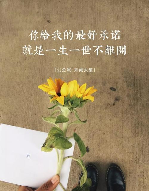 《淡淡的你是我的回忆》LRC歌词 《淡淡的你是我的回忆》(天威)歌词555uuu下载