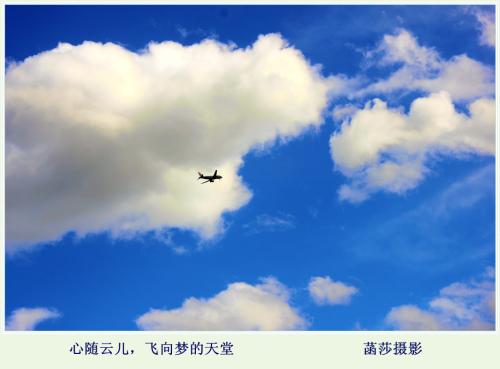 《心儿飘到云上》LRC歌词 《心儿飘到云上》(陈宝钦)歌词555uuu下载