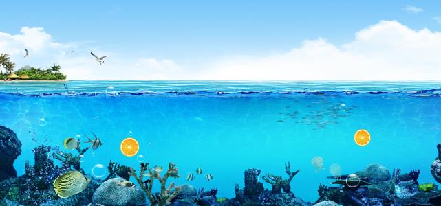 《夏日海洋》LRC歌词 《夏日海洋》(曹碧纯)歌词555uuu下载