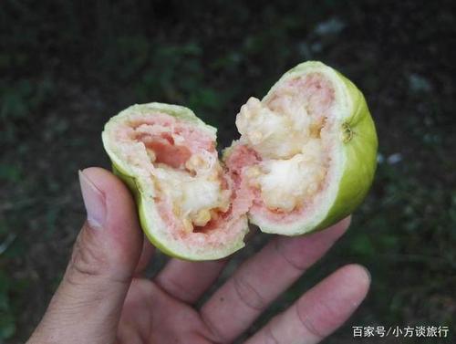 《有种 (广东)》LRC歌词 《有种 (广东)》(郑中基)歌词555uuu下载