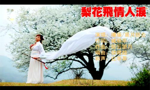 《梨花飞情人泪》LRC歌词 《梨花飞情人泪》(星月组合)歌词555uuu下载