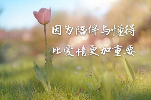 《爱最重要》LRC歌词 《爱最重要》(魏晓雪&甘泉)歌词555uuu下载