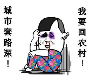《我要回农村》LRC歌词 《我要回农村》(王不火)歌词555uuu下载