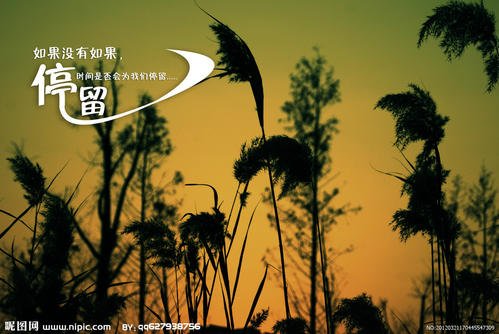 《停留》LRC歌词 《停留》(饶威)歌词555uuu下载