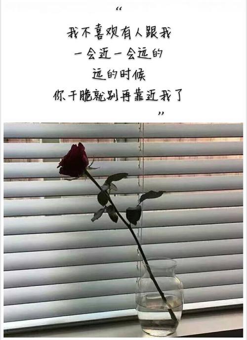 《别再靠近我了》LRC歌词 《别再靠近我了》(陈雪凝)歌词555uuu下载