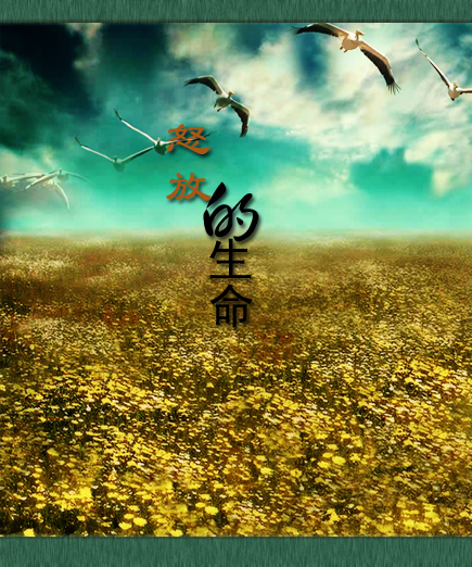 《怒放的生命》LRC歌词 《怒放的生命》(侃侃)歌词555uuu下载
