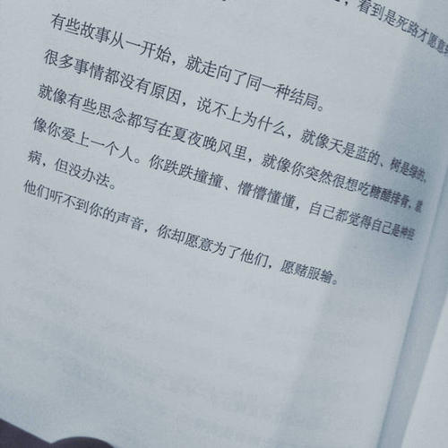 《爱上你我就愿赌服输》LRC歌词 《爱上你我就愿赌服输》(罗有爽)歌词555uuu下载