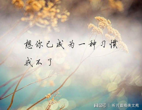 《想你已成一种习惯》LRC歌词 《想你已成一种习惯》(玺晨)歌词555uuu下载