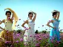《彩虹女郎 - 因为有爱 电视剧 爱在春天 插曲》LRC歌词 《彩虹女郎 - 因为有爱 电视剧 爱在春天 插曲》(彩虹女郎)歌词555uuu下载