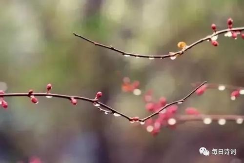 《掐蒜薹》LRC歌词 《掐蒜薹》(杨一)歌词555uuu下载