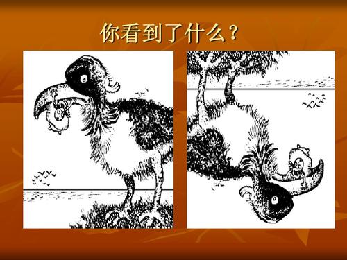 《换个角度》LRC歌词 《换个角度》(自由派对)歌词555uuu下载