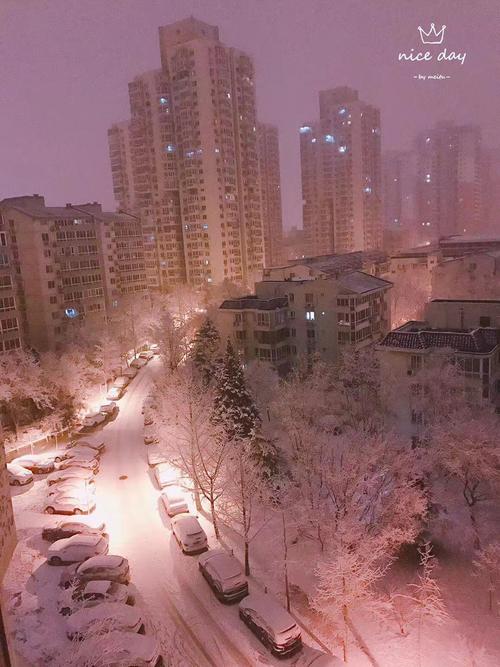 《夜雪》LRC歌词 《夜雪》(张卫健)歌词555uuu下载