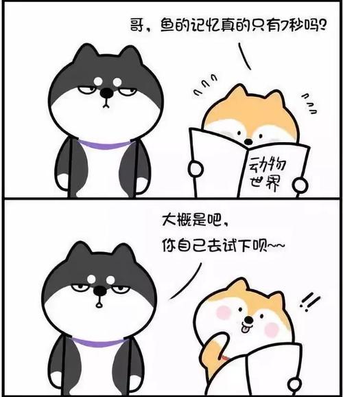 《鱼的记忆》LRC歌词 《鱼的记忆》(刘惜君)歌词555uuu下载