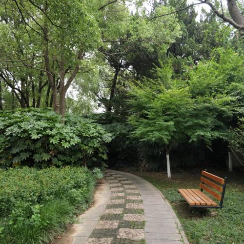 《你的温柔我不会弄丢》LRC歌词 《你的温柔我不会弄丢》(王馨)歌词555uuu下载