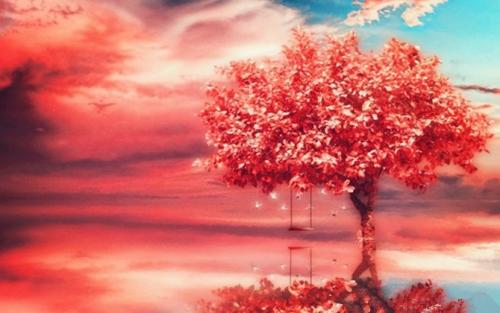《红尘树》LRC歌词 《红尘树》(王天昊)歌词555uuu下载