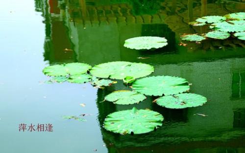 《萍水相逢》LRC歌词 《萍水相逢》(刘馨月&王建荣)歌词555uuu下载