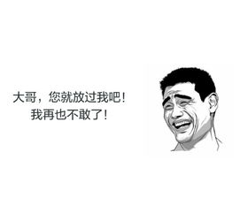 《放过》LRC歌词 《放过》(李小沐)歌词555uuu下载