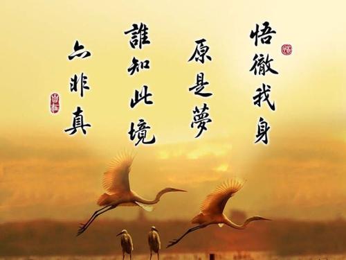 《自然不是罪名》LRC歌词 《自然不是罪名》(谭咏麟/周殷廷)歌词555uuu下载