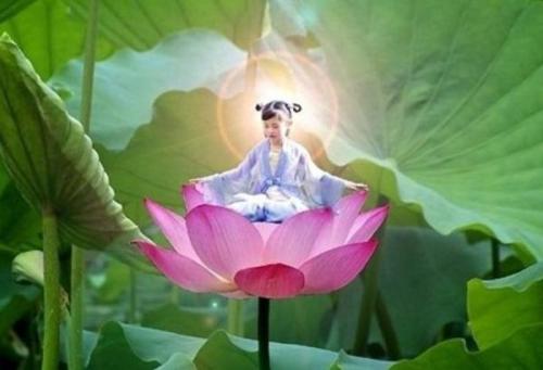 《莲花仙子》LRC歌词 《莲花仙子》(王聆燕)歌词555uuu下载