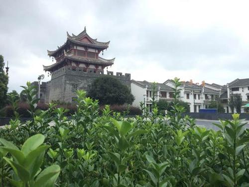 《桐城美》LRC歌词 《桐城美》(贺群芳)歌词555uuu下载