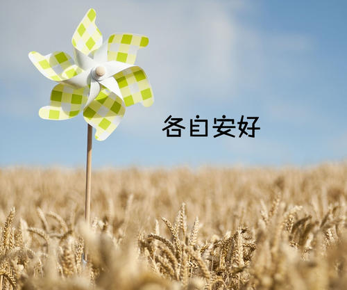 《各自安好》LRC歌词 《各自安好》(欢子)歌词555uuu下载