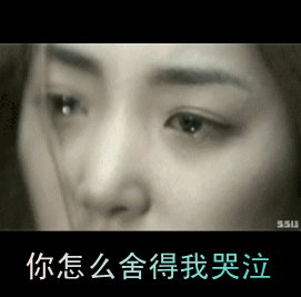 《我怎么舍得你哭》LRC歌词 《我怎么舍得你哭》(邰正宵)歌词555uuu下载