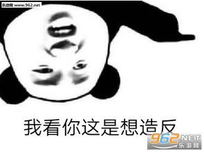 《你我的恰恰》LRC歌词 《你我的恰恰》(李明洋)歌词555uuu下载