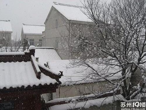 《十月雪》LRC歌词 《十月雪》(陈明憙)歌词555uuu下载