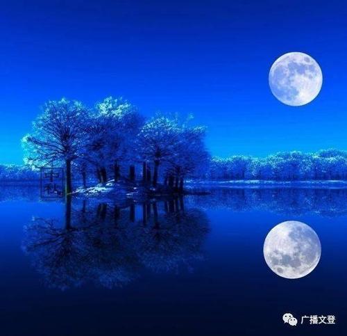 《月之故乡》LRC歌词 《月之故乡》(童丽,廖寰)歌词555uuu下载