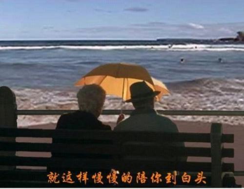 《想和你一起慢慢变老》LRC歌词 《想和你一起慢慢变老》(陈妃平,孙国庆)歌词555uuu下载