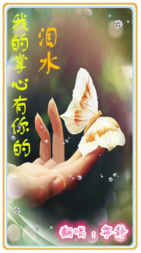 《掌心之泪》LRC歌词 《掌心之泪》(贺一航)歌词555uuu下载