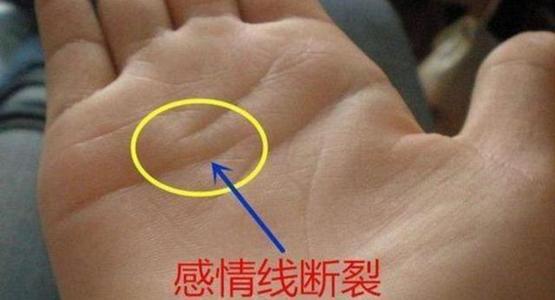 《折断的爱情》LRC歌词 《折断的爱情》(望海高歌)歌词555uuu下载