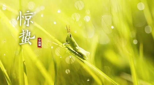 《五月二十五日雨》LRC歌词 《五月二十五日雨》(郑毅)歌词555uuu下载