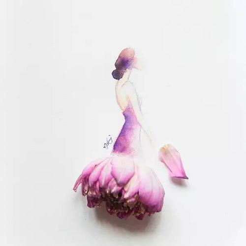 《姑娘花儿一样》LRC歌词 《姑娘花儿一样》(孟杨传媒)歌词555uuu下载
