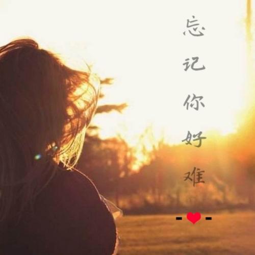 《彻底忘记你》LRC歌词 《彻底忘记你》(姚思思)歌词555uuu下载