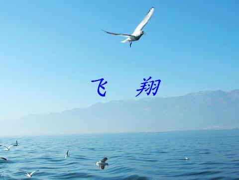 《成功属于你》LRC歌词 《成功属于你》(路童)歌词555uuu下载