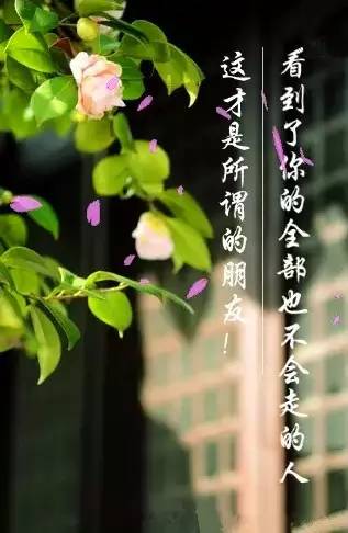《这首情歌送给你》LRC歌词 《这首情歌送给你》(望海高歌)歌词555uuu下载