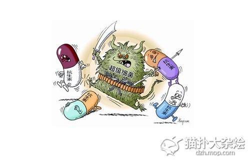 《无所不在》LRC歌词 《无所不在》(吴莫愁)歌词555uuu下载