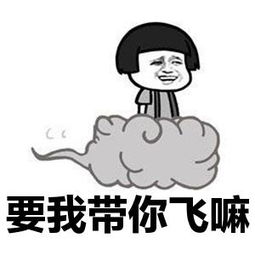《我要带你飞》LRC歌词 《我要带你飞》(魏楚沅)歌词555uuu下载