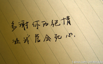 《忘了爱情忘了你》LRC歌词 《忘了爱情忘了你》(帅霖)歌词555uuu下载