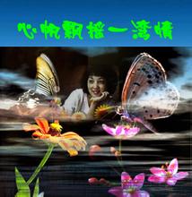 《心帆飘摇一湾情》LRC歌词 《心帆飘摇一湾情》(孙艺玲)歌词555uuu下载