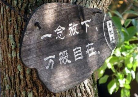 《放下的时候》LRC歌词 《放下的时候》(刘烨)歌词555uuu下载