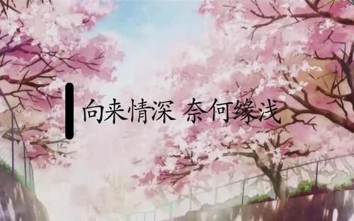 《不怨情深奈何缘浅》LRC歌词 《不怨情深奈何缘浅》(张津涤&司徒兰芳)歌词555uuu下载