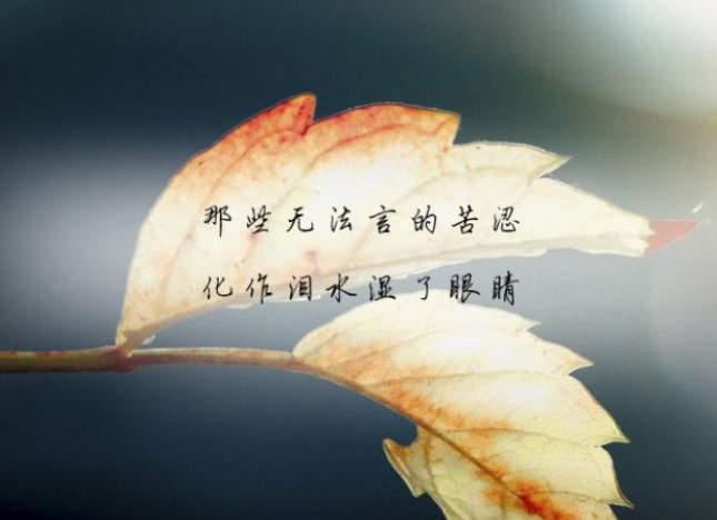 《爱受伤了》LRC歌词 《爱受伤了》(天籁天)歌词555uuu下载